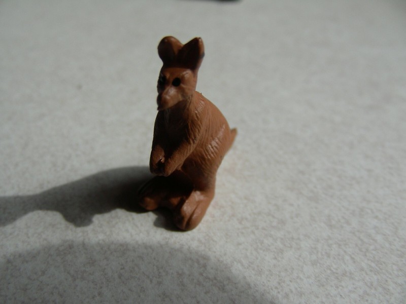 Add a little BOUNCE to you life-BUY THIS KANGAROO!