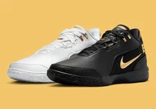 Nike Zoom Lebron NXXT Gen AMPD "Equity" Basketball Shoes FJ1566-103 Mens Size