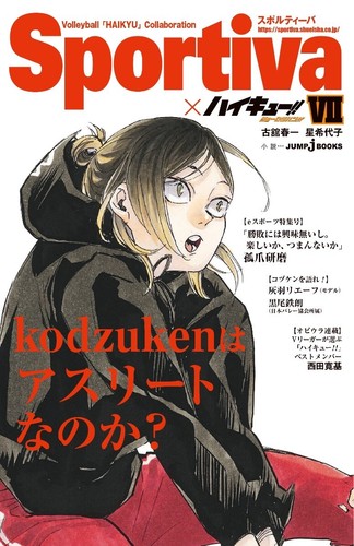 Haikyuu romanzo versione sportiva limitata set completo 13 e 13 copertine libri incluse - Foto 11 di 19