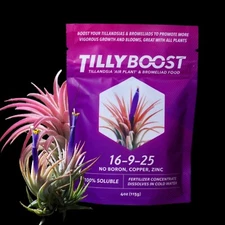 2 Year Supply Air Plant Food Tilly Boost To Promote Blooming And Growth