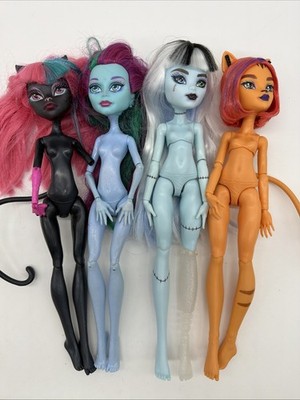 (4) Monster High Dolls Nude Toralei Catty Noir READ