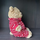 Bild 5 von 7