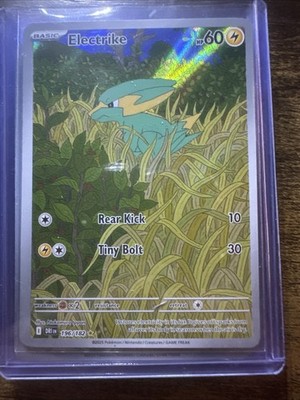 Electrike 196/182 Illustration Rare, Destined Rivals, Full Art Holo, Pokemon TCG