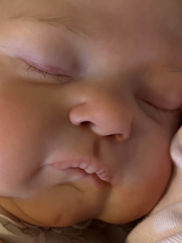Reborn Baby Noa By Cassie Brace COA 