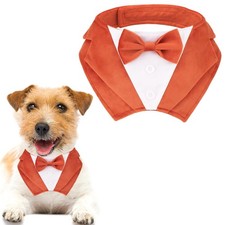 Small Fall Dog Tuxedo Bandana Orange Collar Bowtie Halloween Costume