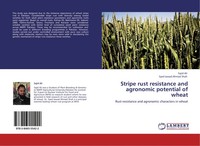 Sajid Ali (U. A.) | Stripe Rust Resistance And Agronomic Potential Of Wheat