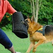 Young Dogs Training Arm Bite Sleeve Intermediate for K9 Dogs Schutzhund She X7U6