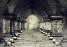 10x8ft Gothic Castle Corridor Halloween Skulls Photo Background Vinyl Backdrop