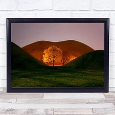 Magnolia Tree Gold Golden Green Hill Hills Rolling Wall Art Print