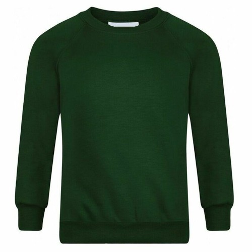 Boys Girls Crew Neck Sweatshirt Fleece Jumper School Wear Age 3-16 + Adult Size - Picture 3 of 7