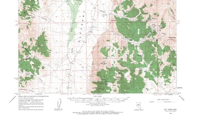 Mt. Tobin Quadrangle Nevada 1961 Topo Map Vintage USGS 15 Minute Topographic