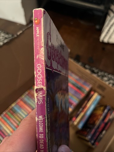 RL Stine Goosebumps 59 Paperback Book Lot Scholastic Apple 1-43, Fear Street +++ - Imagen 10 de 11