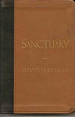 Sanctuary: Finding Moments of Refuge in the Presence of God david