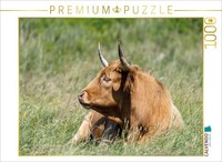 Calvendo Puzzle Cattle | 1000 Pieces, Finished Size 25.2 × 18.9 In (64 × 48 Cm)