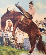 1940s RODEO Cowboy Bucking Bronco Linen Postcard BUDDY TIMMONS on JACK DEMPSEY