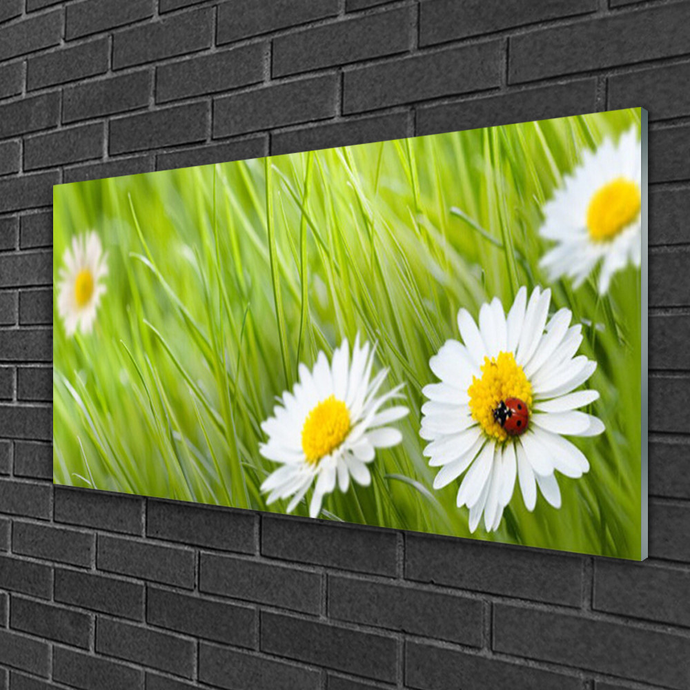 Tableau sur Plexiglas 100x50 Marguerite Image Nature Grand Format Anti-UV