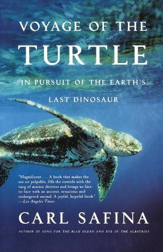 Thumbnail - Carl Safina Voyage Of The Turtle (taschenbuch) (us Import)