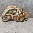 Foto 3 di 7