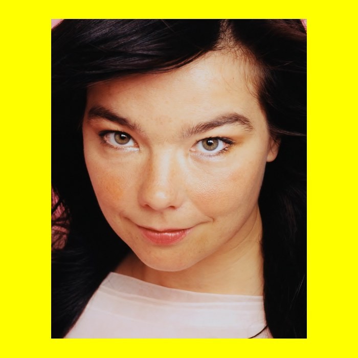 Bjork 8x10 Photo Printed at a Lab | eBay