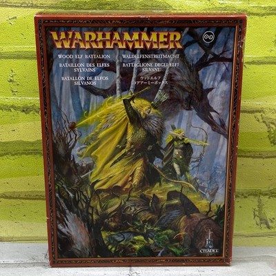 Warhammer Wood Elf Battalion 2007 Games Workshop Citadel Miniatures Set 92-09
