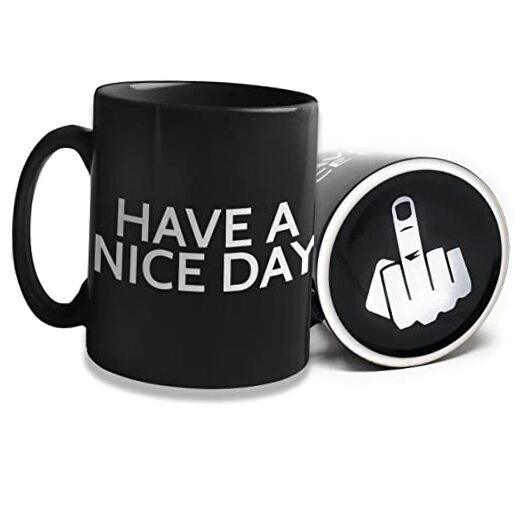 Funny Coffee Mug for Men and Women - Have A Nice Day Coffee 1 Count (Pack of 1)