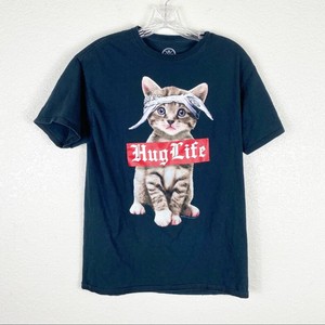 dog fly bite treatment