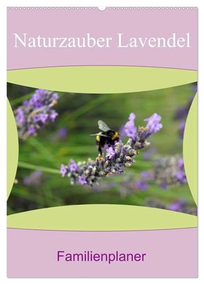 Babett Paul - Babett's Bildergalerie | Naturzauber Lavendel - Familienplaner...