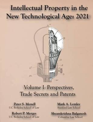 Intellectual Property in the New Technological Age 2021 Vol. I Perspectiv - GOOD