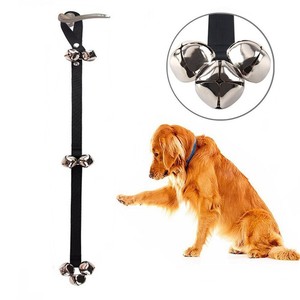 housebreaking training