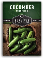 1 Pack Muncher Cucumber Seeds for Planting – Seed Packet with Instructions to Gr