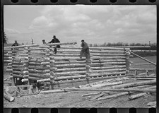 Foto: Hombres de construcción de cabañas de troncos de la década de 1930 construyendo paredes de madera