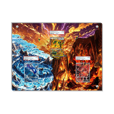 Mega Rayquaza EX Kyogre Groudon 3 Card Set | PSA Extended Art Card Display Case