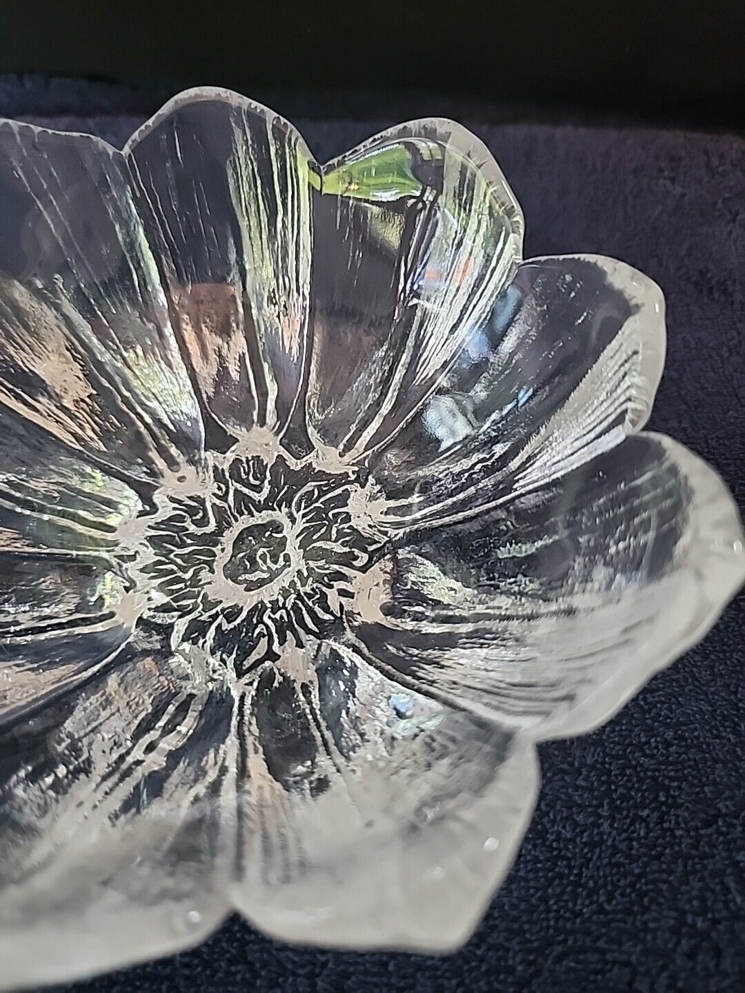 Picture 6 of 12