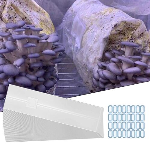 Produzione efficiente di funghi con sacchetti per la coltivazione Spawn trasparenti confezione da 15/30 - Foto 1 di 14