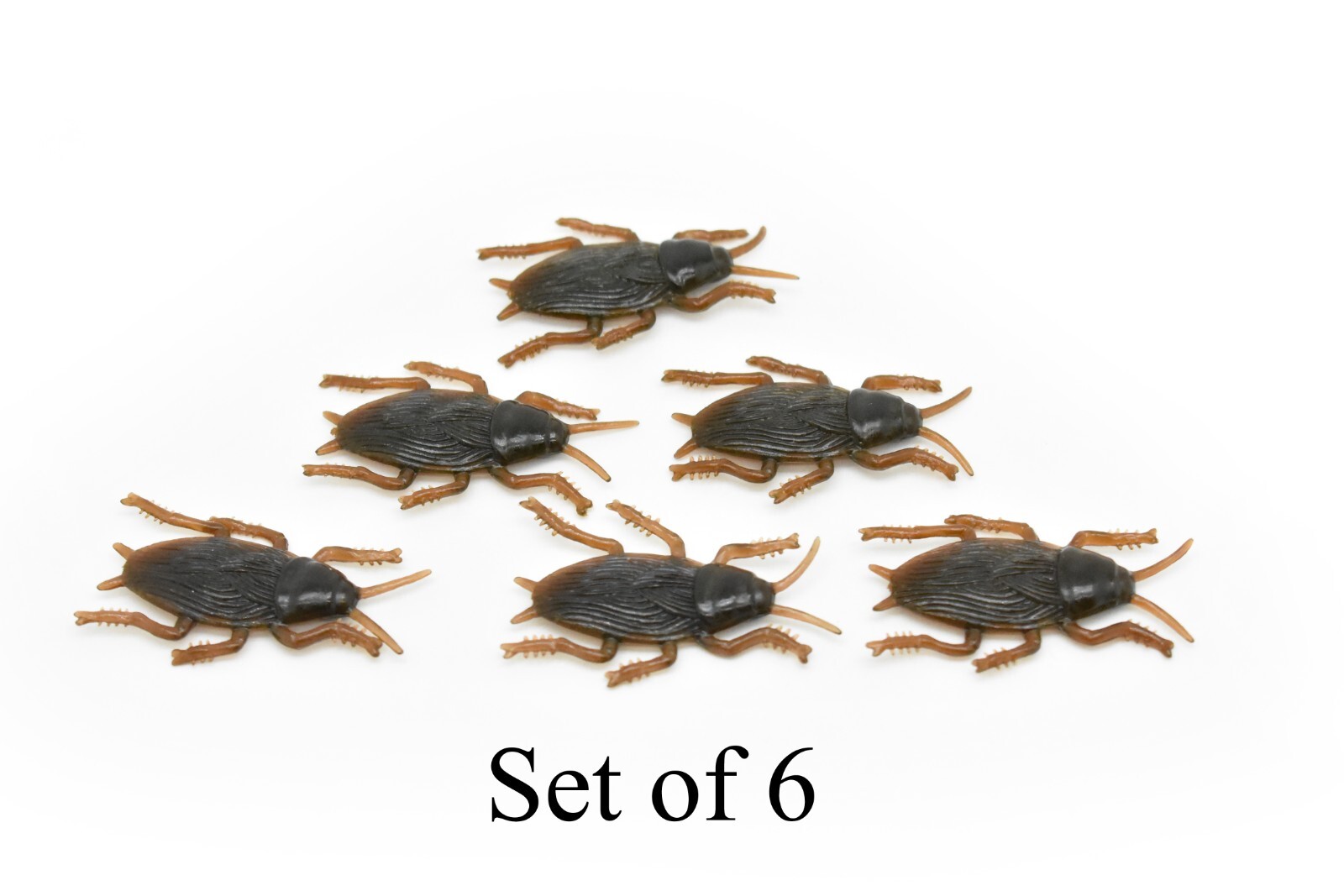 Picture 9 of 11