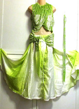 Belly Dance 4 Pc Lime Green Costume - Skirt, Sequin Top, Hip Wrap Neck Accent