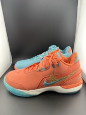 Nike Zoom LeBron NXXT Gen AMPD Miami Men Size...