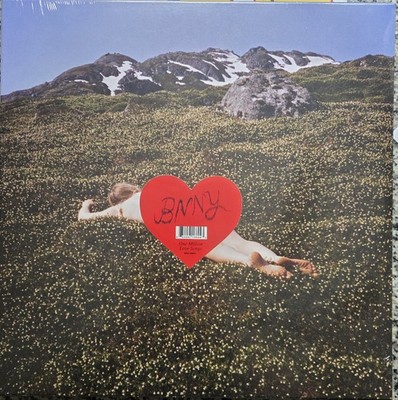 One Million Love Songs by Bnny (Record, 2024)