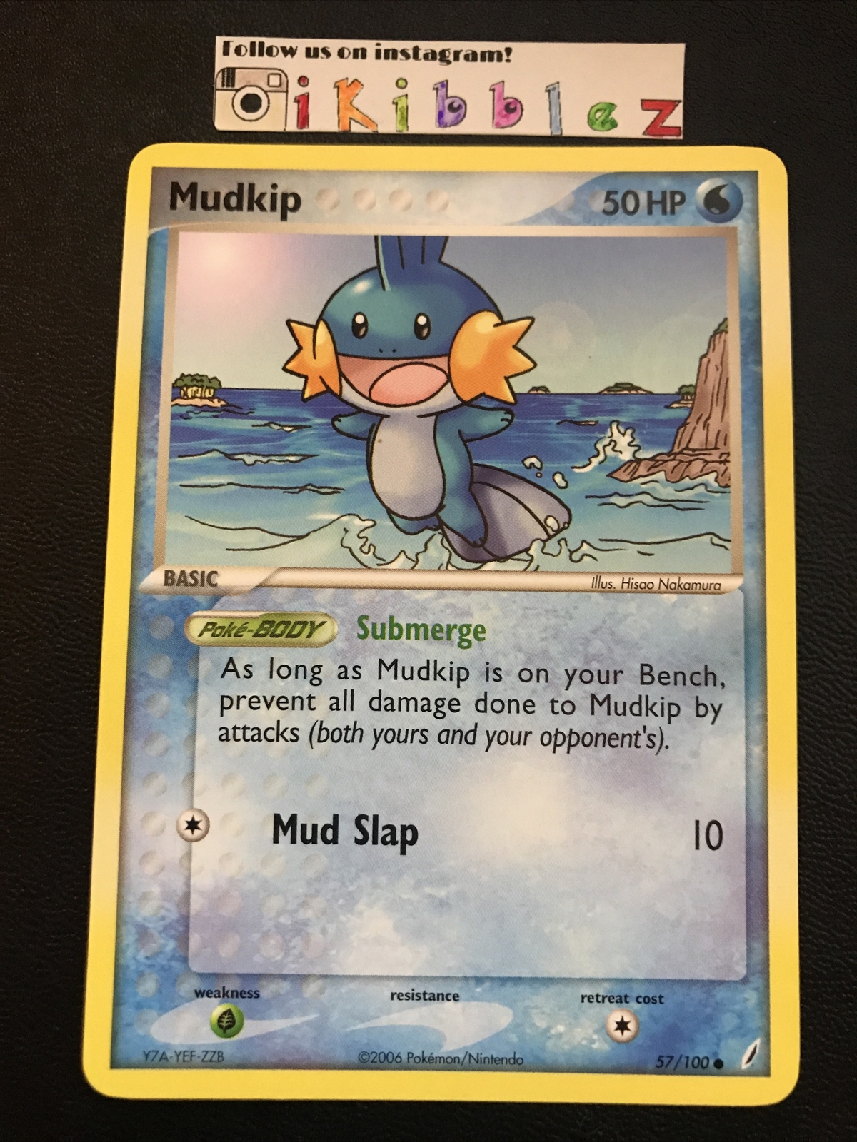 Mudkip 57/100 NM AWESOME ART Crystal Guardians Pokemon. Free Tracked Shipping!