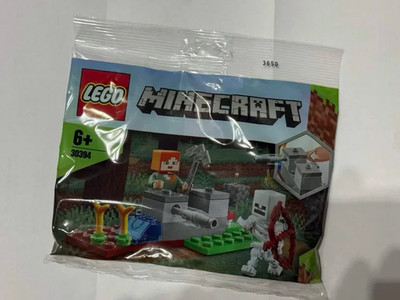 LEGO Minecraft 30394 Skeleton Defense Polybag mit Anleitung Neu Und Ungeöffnet