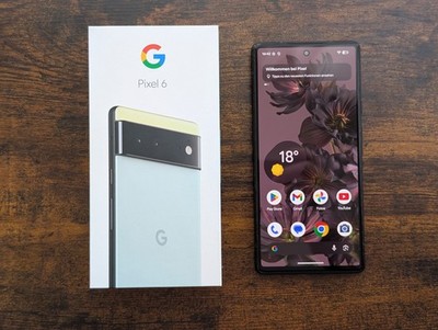 Google Pixel 6 - 128GB - Sorta Seafoam (Ohne Simlock) (Dual-SIM), mit OVP