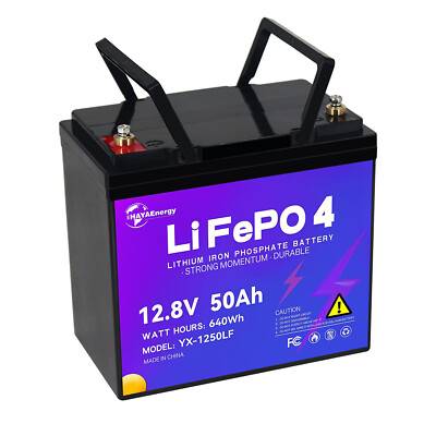 50Ah 100Ah 12V Lifepo4 Battery Pack Lithium Batteries for RV Marine Solar System