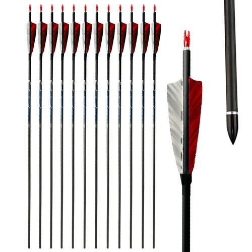 Archery ID6.2 30/32" SP300-800 Carbon Arrows Bow DIY Hunting Shooting 12PCS - Bild 3 von 6