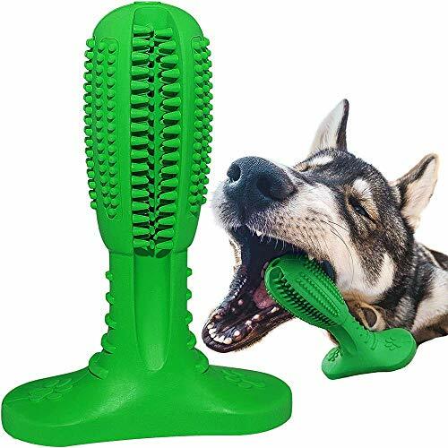 dog chew toothbrush