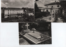 N. 3 Cartoline di VISCHE CANAVESE Torino - Betania del Sacro Cuore!!!