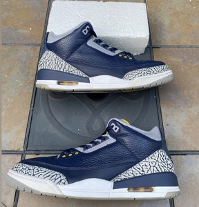 michigan jordan 3