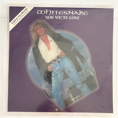 White Snake   Now you´re Gone Picture Disc   Shaped Vinyl