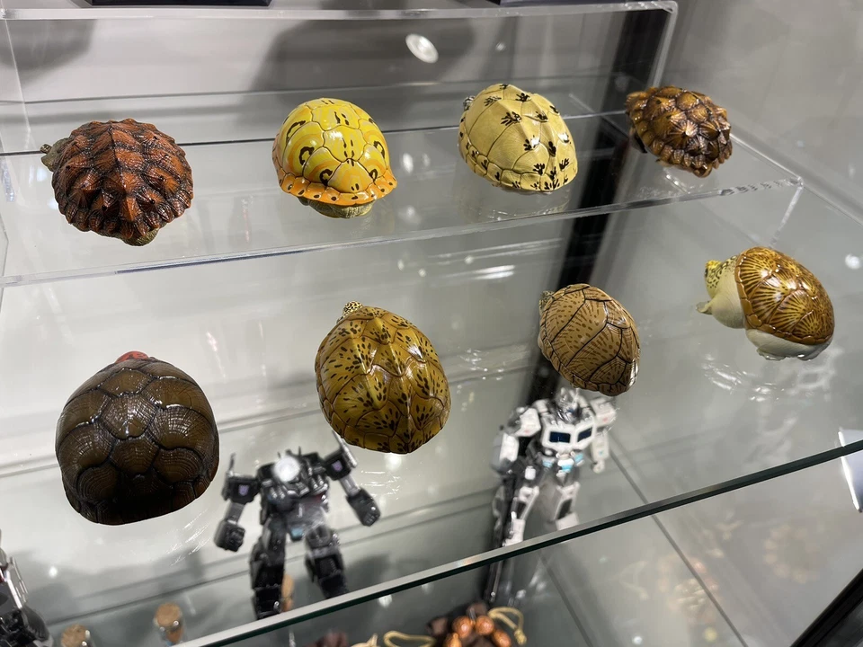 Animal Planet Una Serie De Risa Y Grasa Nº8 Tortugas Pack De 8 Figuras Foto 3 de 4