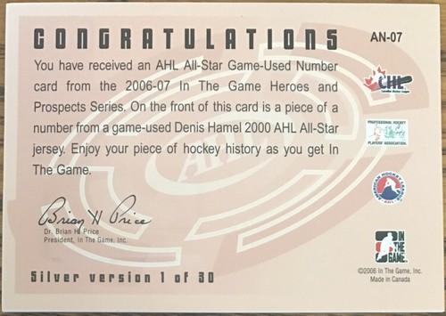 2006-07 ITG Heroes & Prospects AHL All-Star Jerseys SILVER Denis Hamel #AN-07 - Picture 2 of 2
