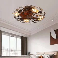 20'' Black Fan Light Industrial Ceiling Kit 6 Speeds Caged Farmhouse With Remote